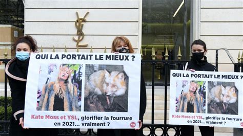 Yves Saint Laurent to stop using fur, bowing to animal rights 